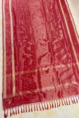 HOV Exclusive Pure Zari Handloom Banarasi Tissue Silk Saree - Red Silver Zari Kasturi - 026