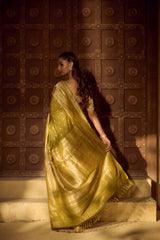 Handlloom Kadhua Banarasi Silk Saree- Big Border - Mehndi Green Silver Buti