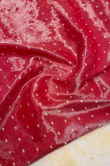 HOV Exclusive Pure Zari Handloom Banarasi Tissue Silk Saree - Red Silver Zari Kasturi - 026